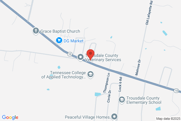 Optometric Physicians of Middle Tennessee - Hartsville