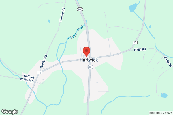 Hartwick Vets Club