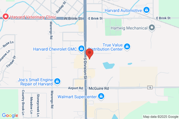 Advance Auto Parts