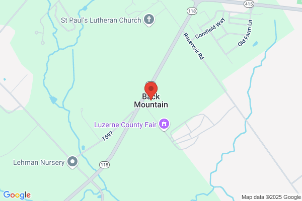 Back Mountain Tree Service