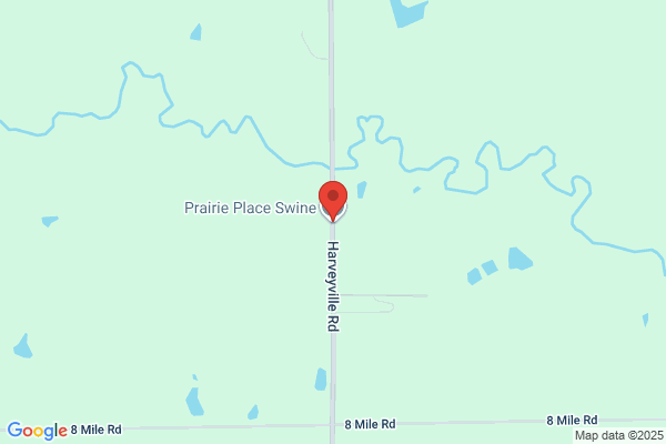 Prairie Place Swine