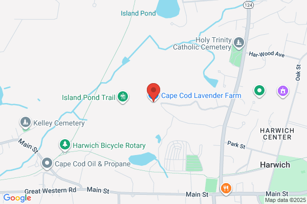 Cape Cod Lavender Farm