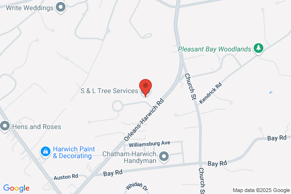 Daigle Tree Service