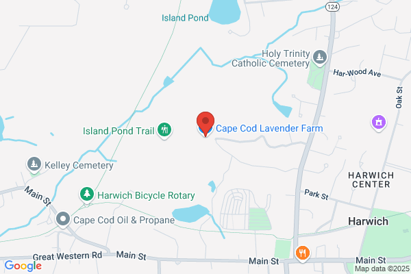 Cape Cod Lavender Farm