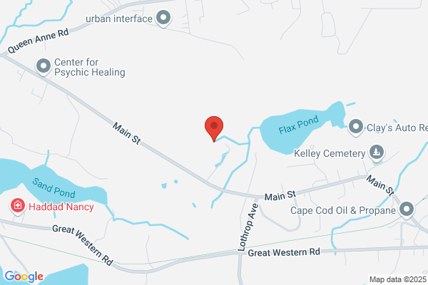Cape Farm Supplies and Grange