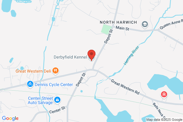 Derbyfield Country Kennel