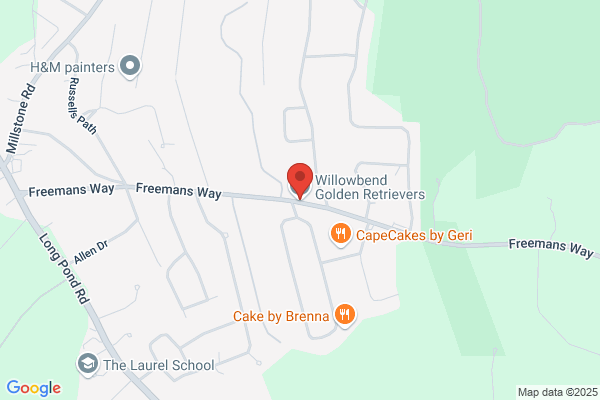 Golden Kennels