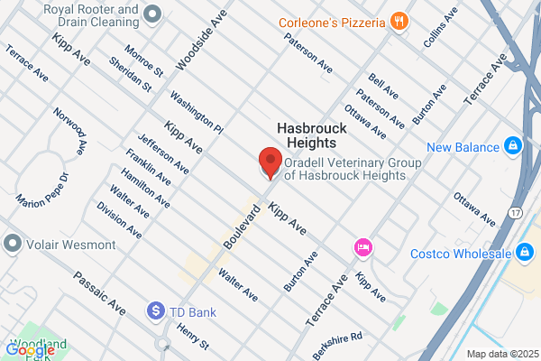 Hasbrouck Heights-Oradell Veterinary Group