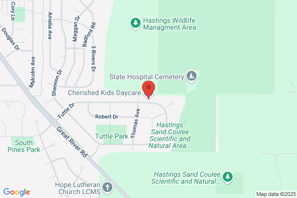 Hastings Montessori School & Child Care Center