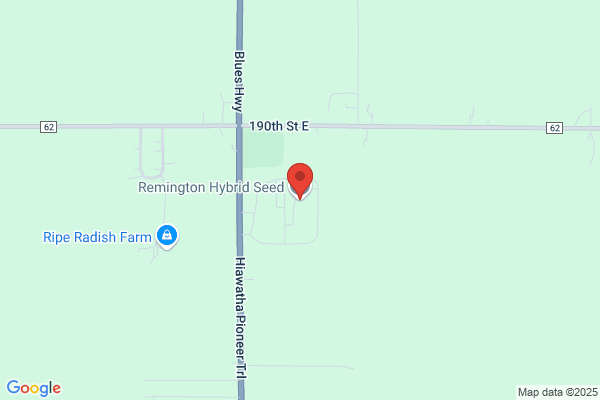 Remington Hybrid Seed Co Inc