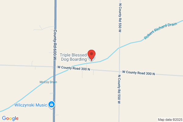 Triple Blessed Dog Boarding