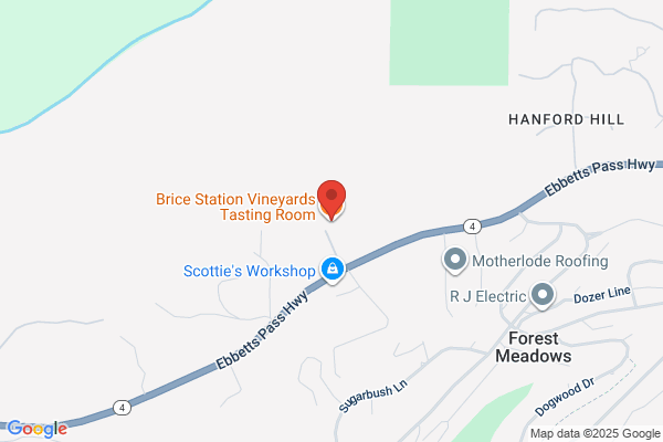 Brice Station