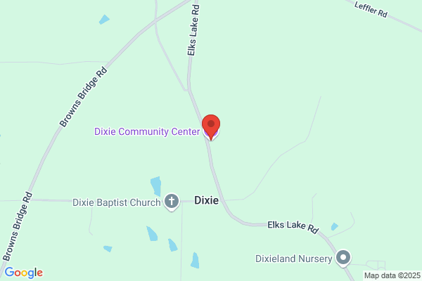 Dixie Consulting Inc