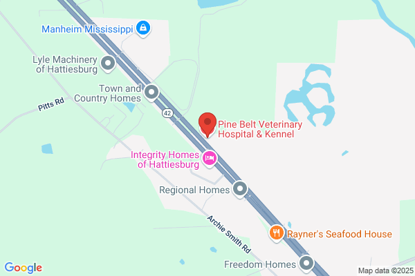 Pine Belt Veterinary Hospital & Kennel