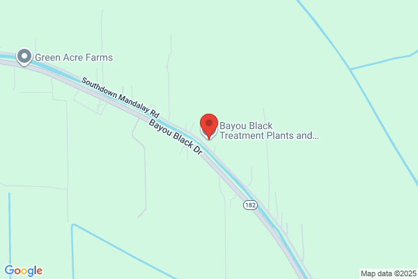 Bayou Septic Service