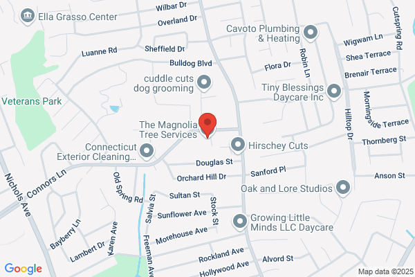 Magnolia Tree Service