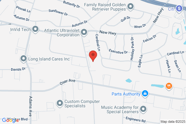 Vetra Systems Inc