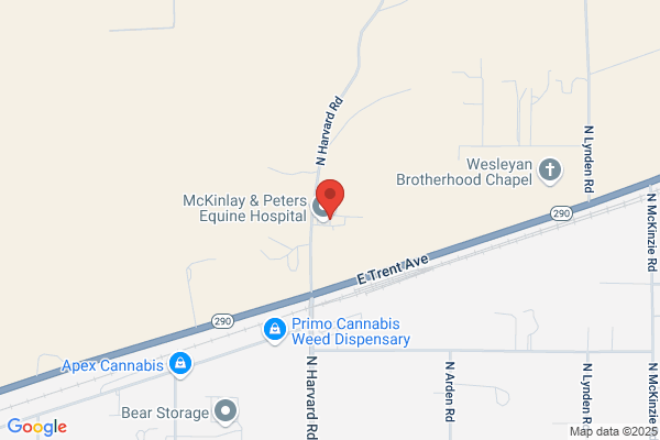 McKinlay & Peters Equine Veterinary Services