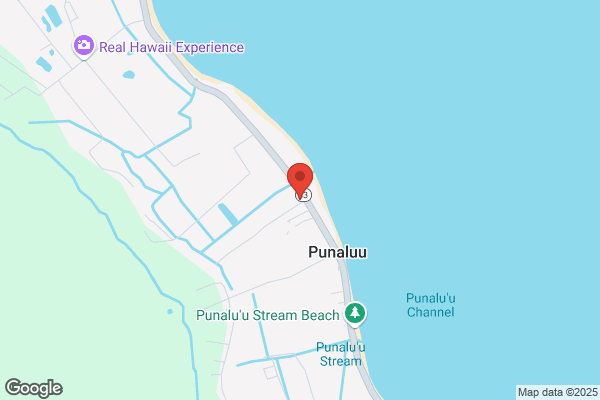Beachside Food & Delights