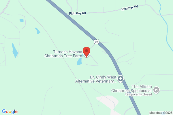Havana Christmas Tree Farm
