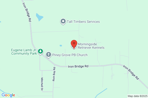 Morningside Retriever Kennels