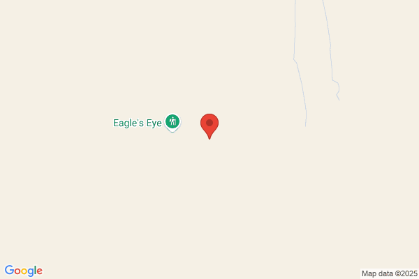 Eagles Eye the