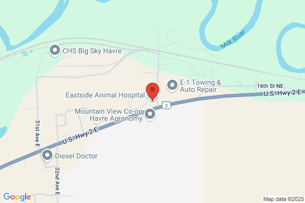 Eastside Animal Hospital