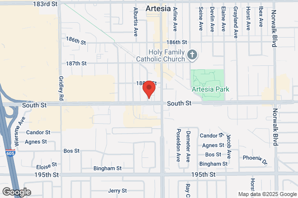 David C. Moy, DDS