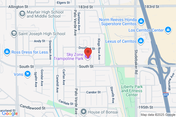 Lillian Sardo, Washington National Agent