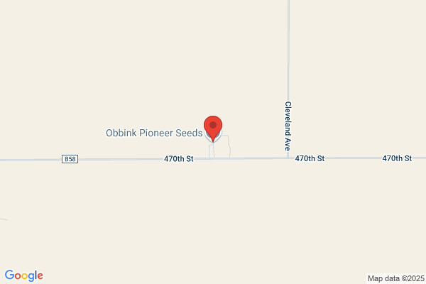 Obbink Pioneer Seeds
