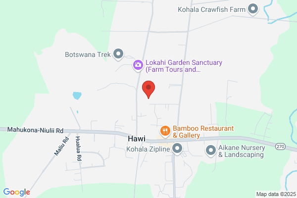 Kohalas Guest House