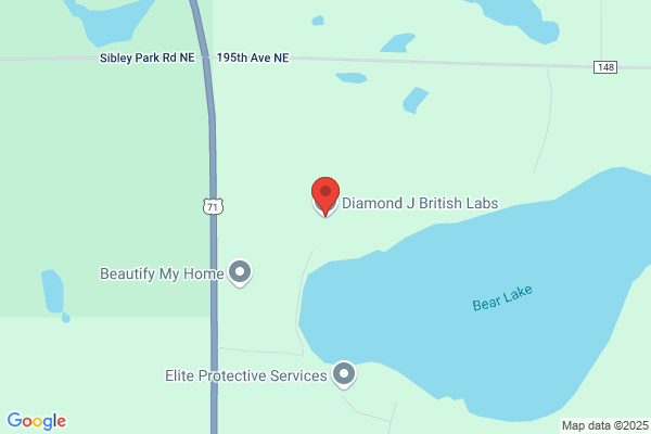 Diamond J British Labs, LLC