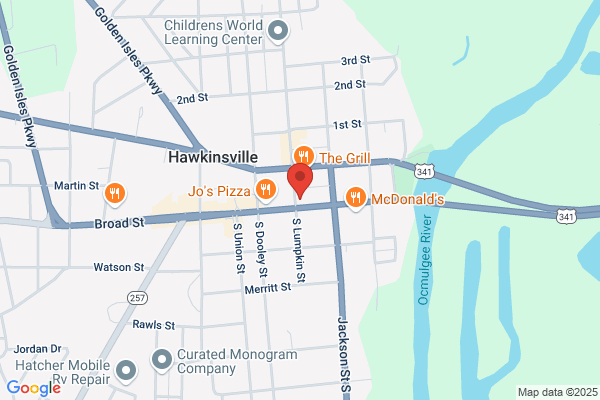 Hawkinsville-Pulaski Arts Council