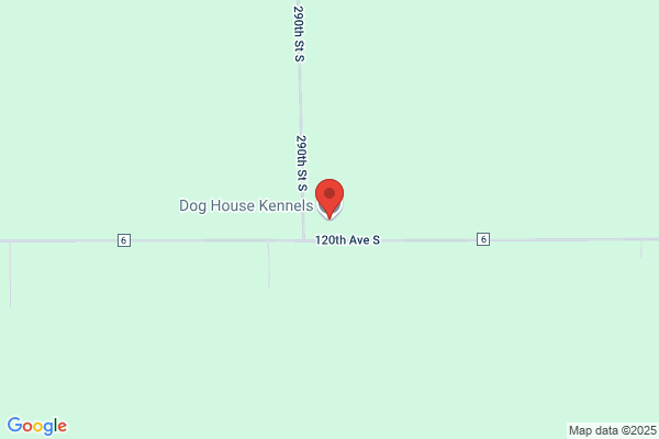 Dog House Kennels