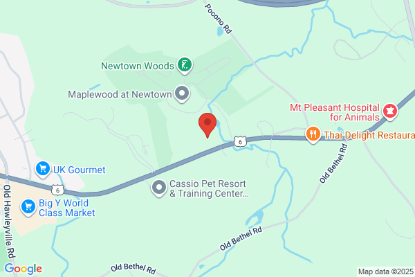 Nuvance Health Medical Practice - Primary Care Newtown