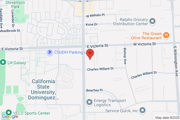 Alexzander International