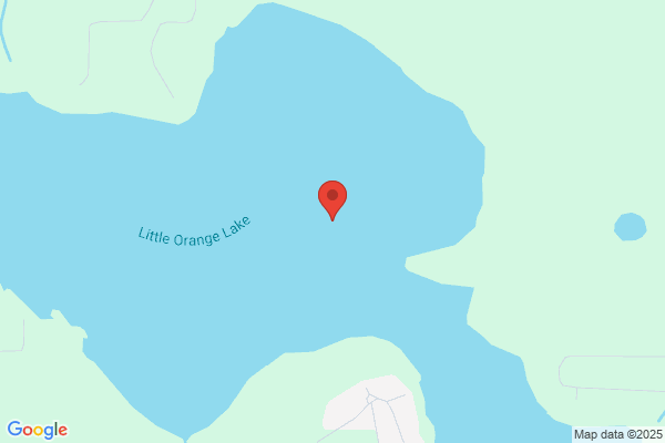 Elite Resort At Little Orange Lake Inc