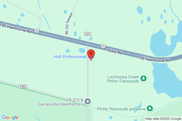 Holt Professional Inc