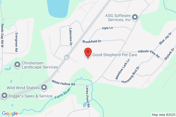 Good Shepherd Pet Sitting Services