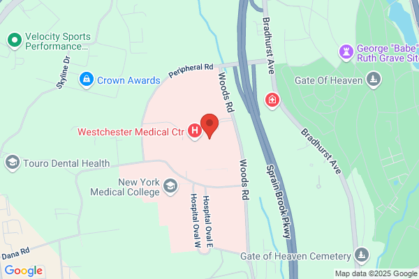 Westchester Medical Center eHealth Program