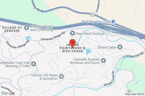 Indian Paintbrush Painting Co
