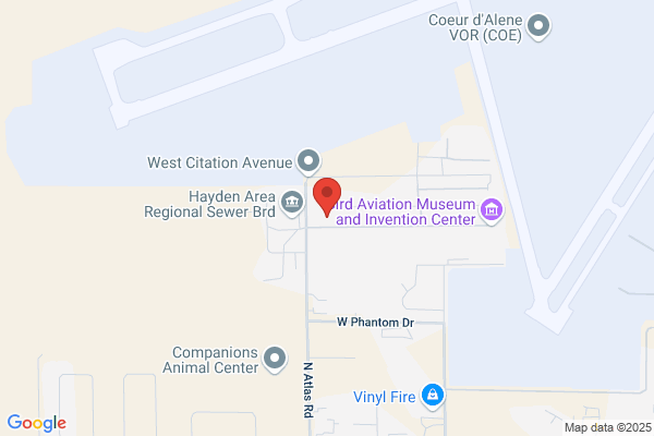 Action Flying Service