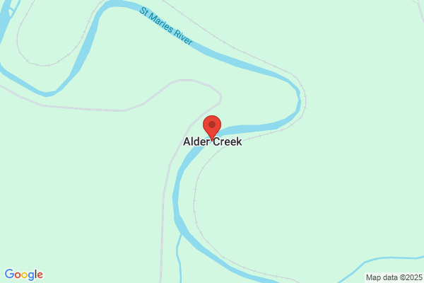 Alder Creek Enterprises