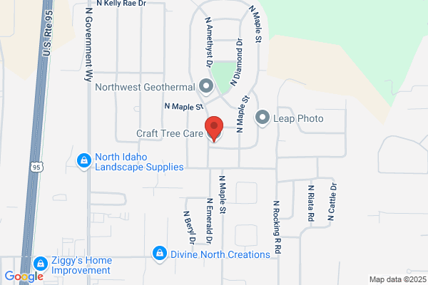 Arboriculture Consulting