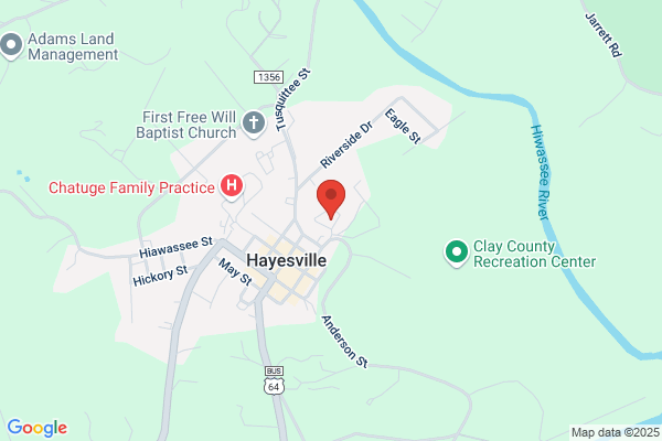 Clay County of, Board of Elections