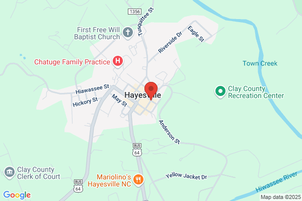 Hayesville Town of