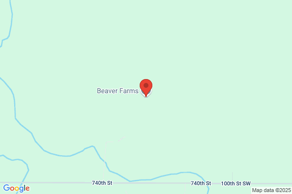 Beaver Plumbing