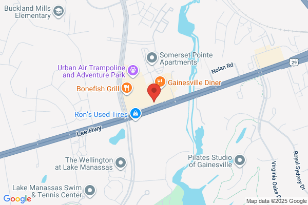 Companion Animal Clinic Of Gainesville