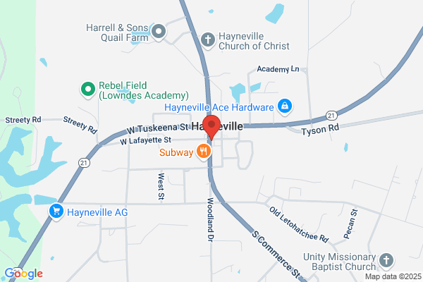 Hayneville Drug