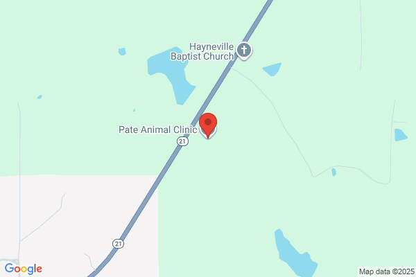 Pate Animal Clinic